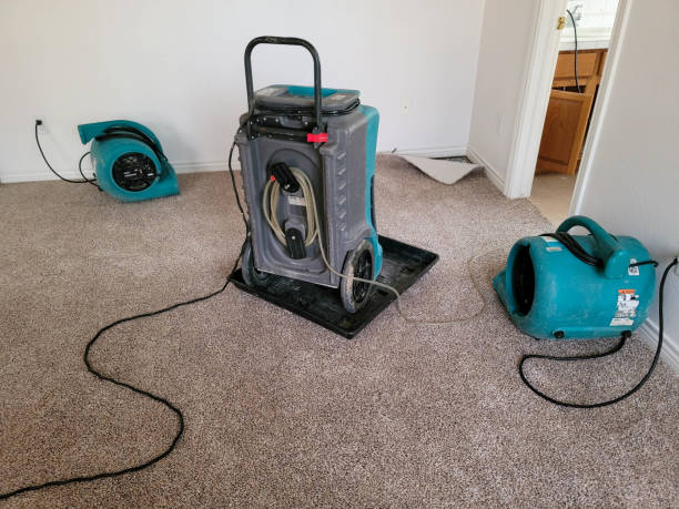 Best Flood restoration services  in Valley Center, CA