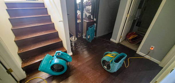 Best Water damage contractors near me  in Valley Center, CA