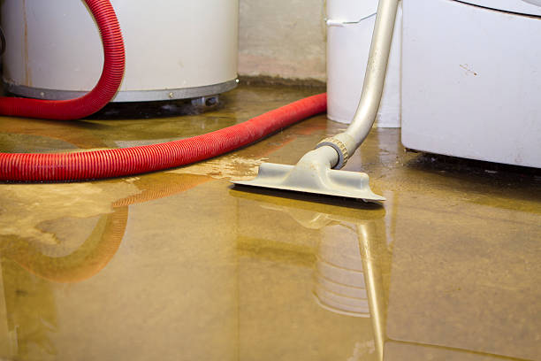  Valley Center, CA Water damage restoration Pros