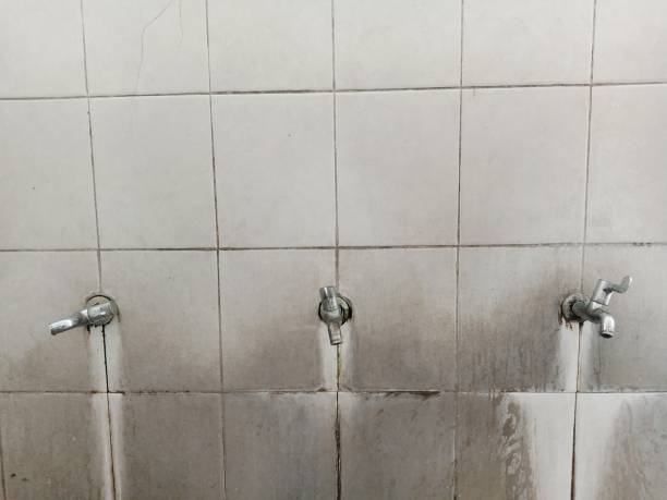  Valley Center, CA Water damage restoration Pros
