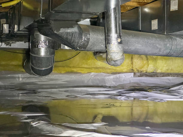 Best Mold removal after water damage  in Valley Center, CA