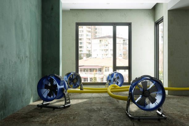 Best Water damage restoration near me  in Valley Center, CA